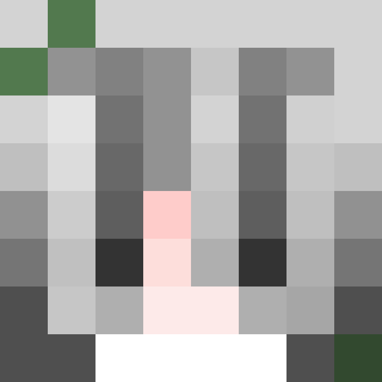 TheCuriousMiner's skin