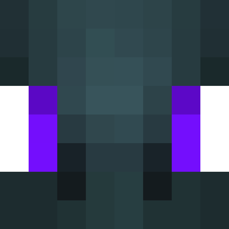 TheCuriousMiner's skin