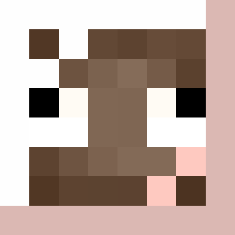 BukkitAPI's skin