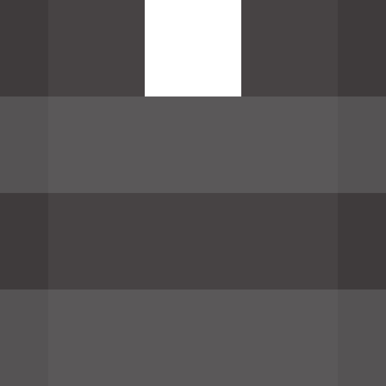 deminecrafterlol's skin