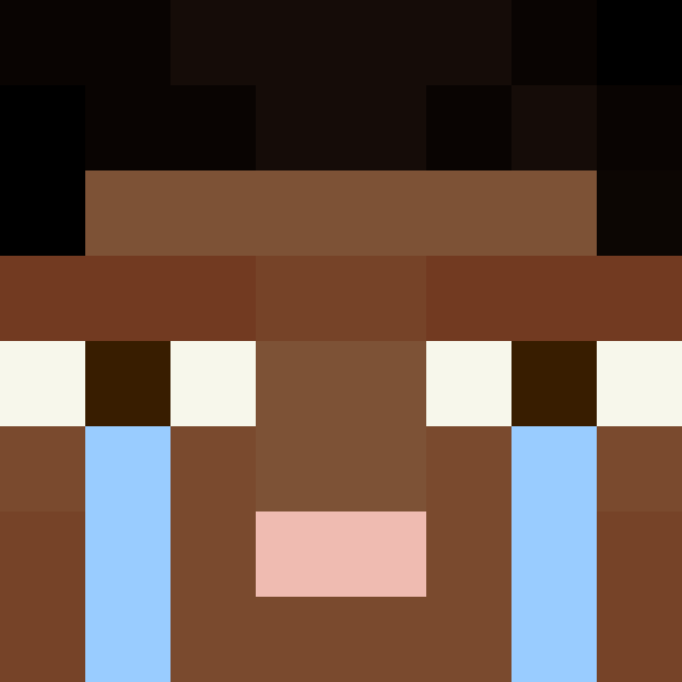 8aca680b22461340's skin