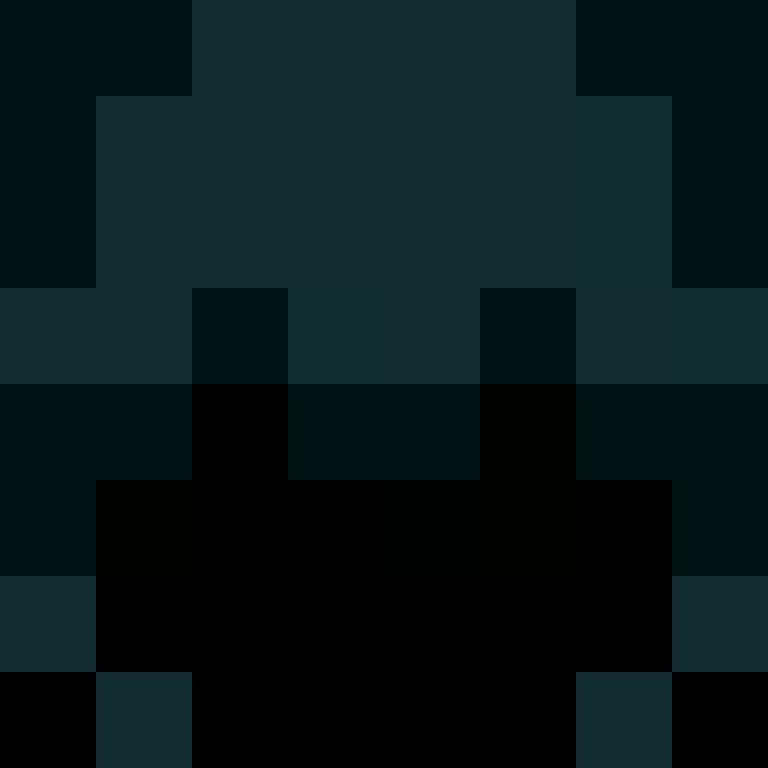 h4yl33's skin