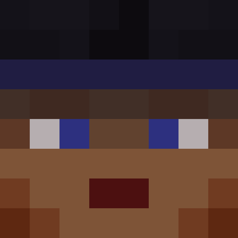 wiredframe's skin