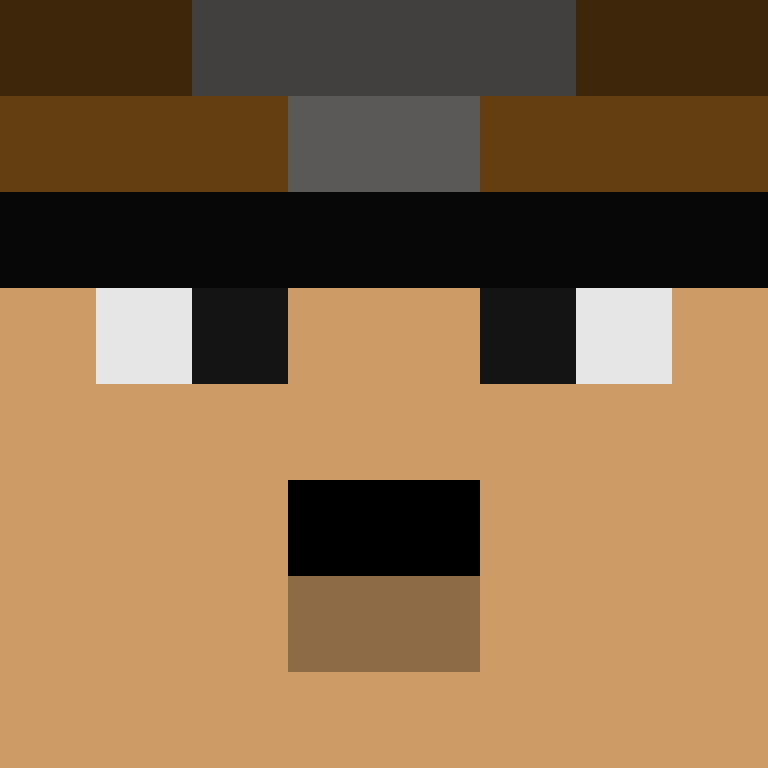 BukkitAPI's skin