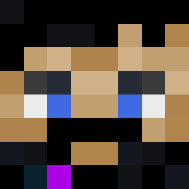 BukkitAPI's skin