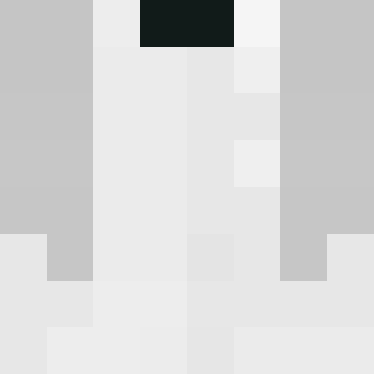 DonaldTrump42's skin