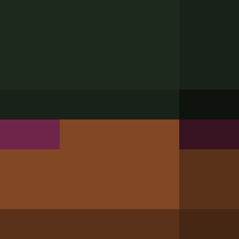 Kaboyio's skin