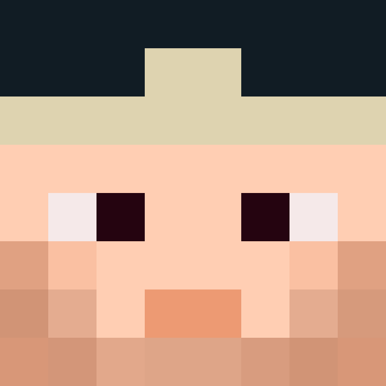 deminecrafterlol's skin