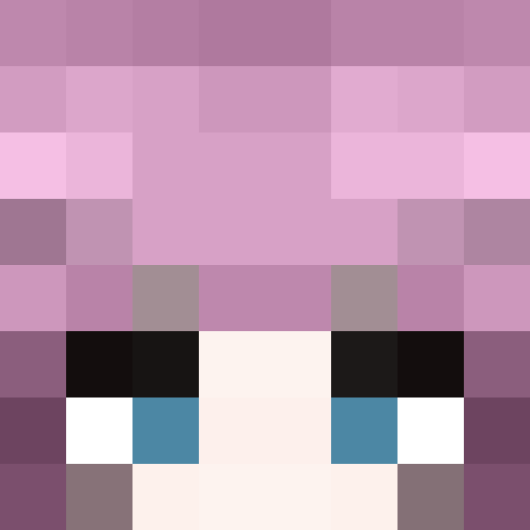BukkitAPI's skin