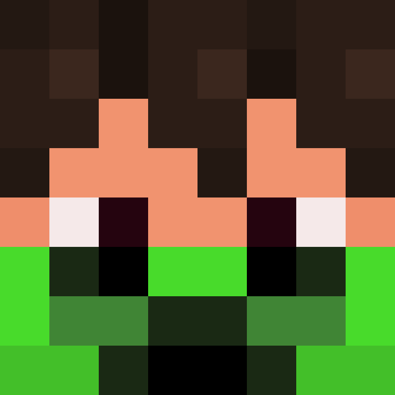 xX_No_Income_Xx's skin