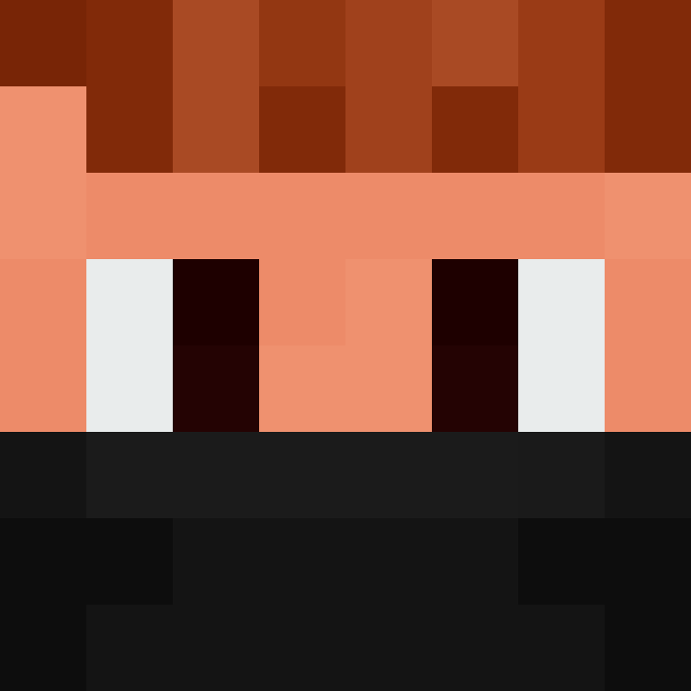 8aca680b22461340's skin