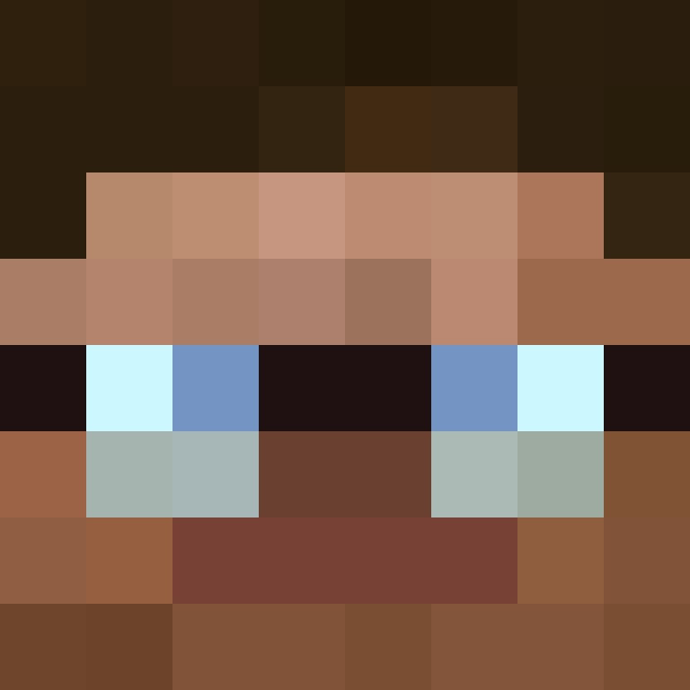feNsterlol's skin
