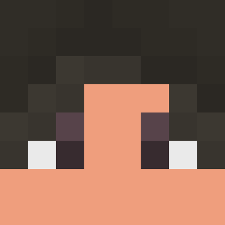 BukkitAPI's skin