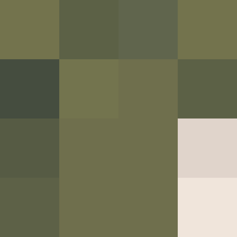 Zoleeey's skin