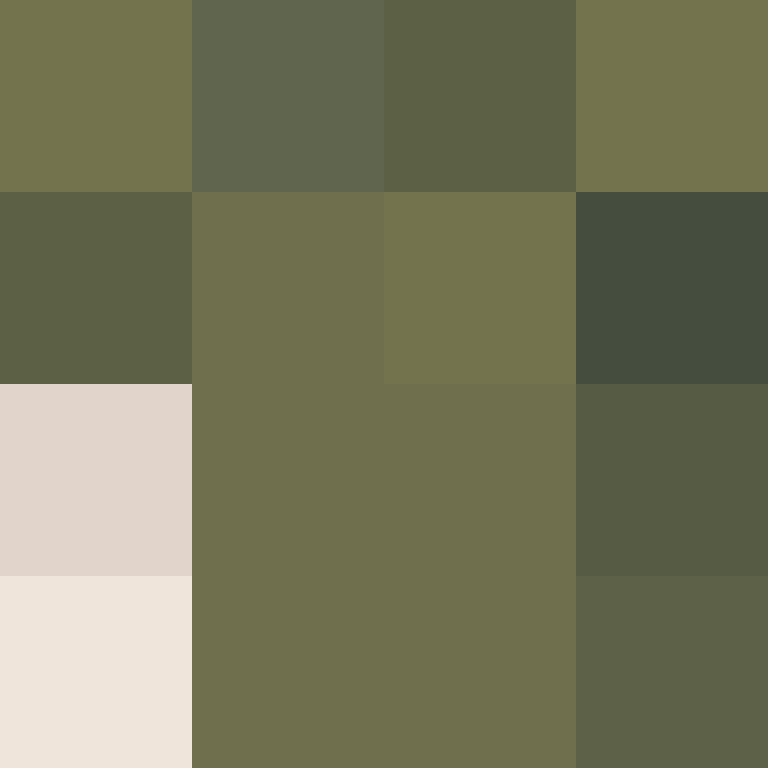hpyef's skin