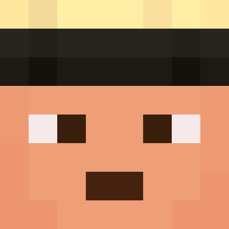 8aca680b22461340's skin