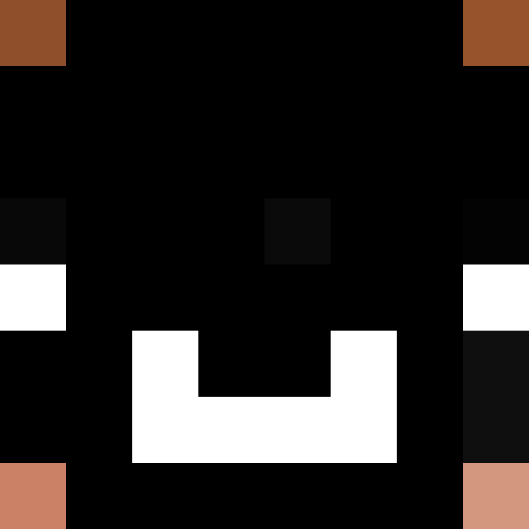 CeilingBird's skin