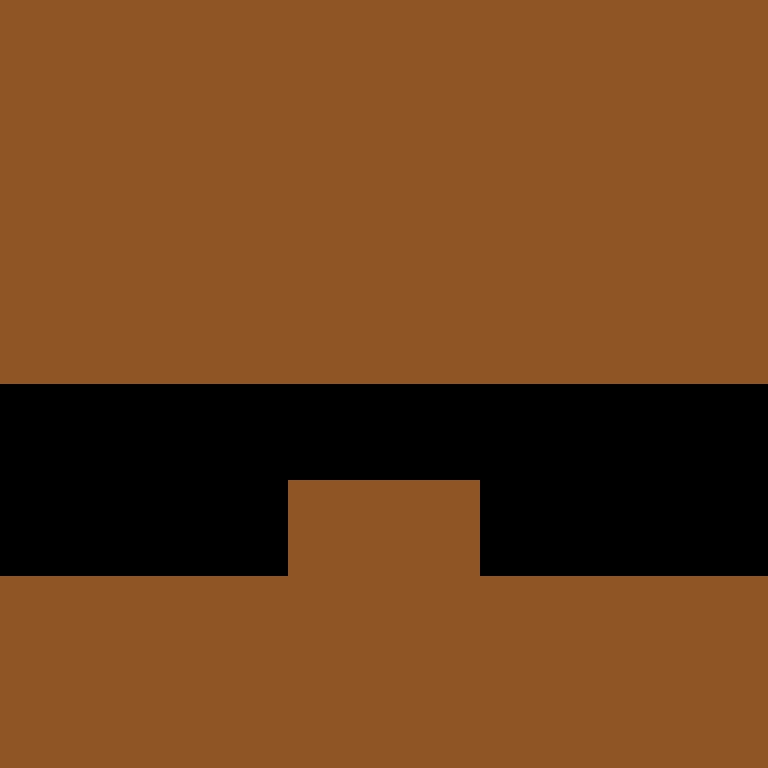CeilingBird's skin