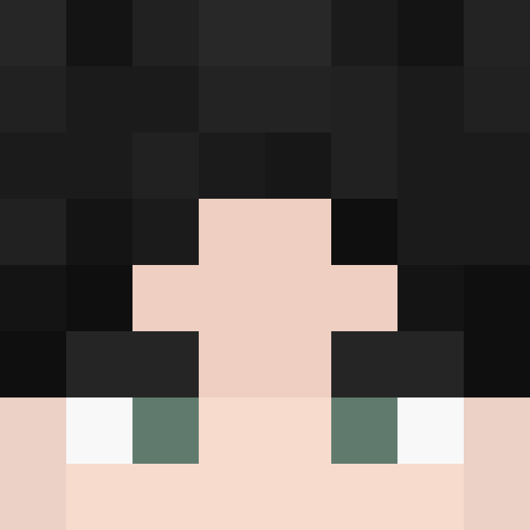 BukkitAPI's skin
