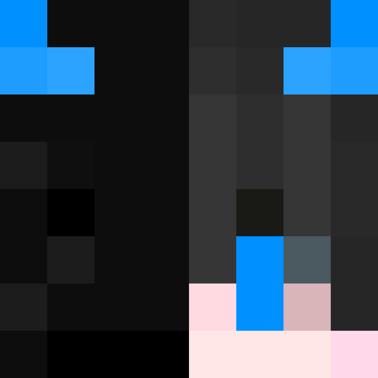 8aca680b22461340's skin