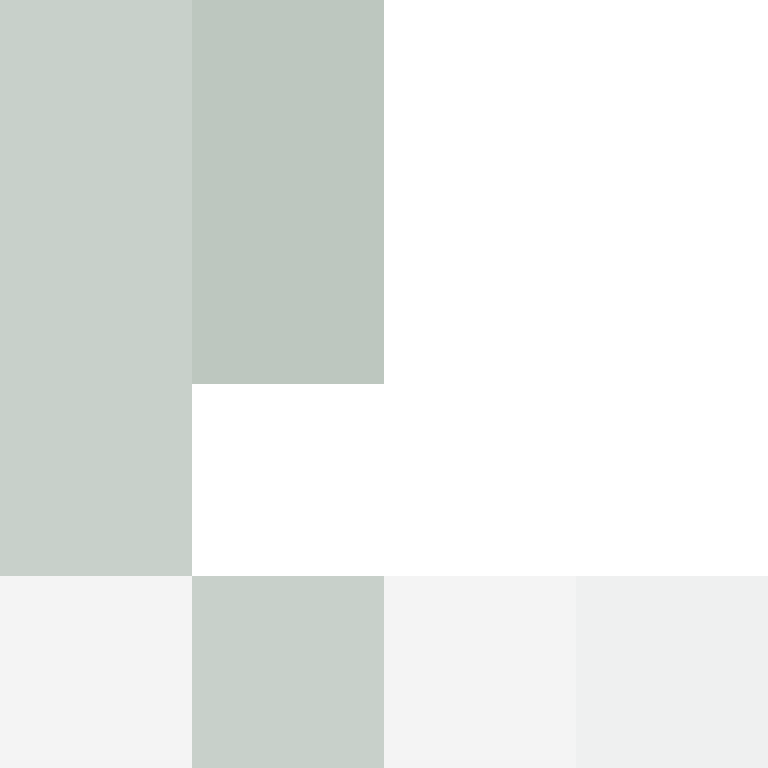 acin5's skin
