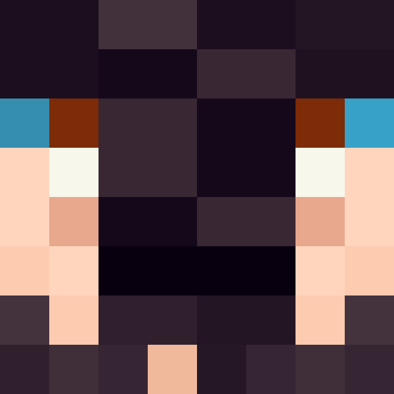 BukkitAPI's skin