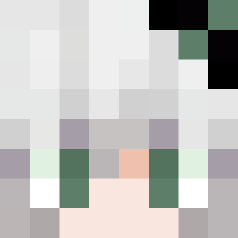 CeilingBird's skin