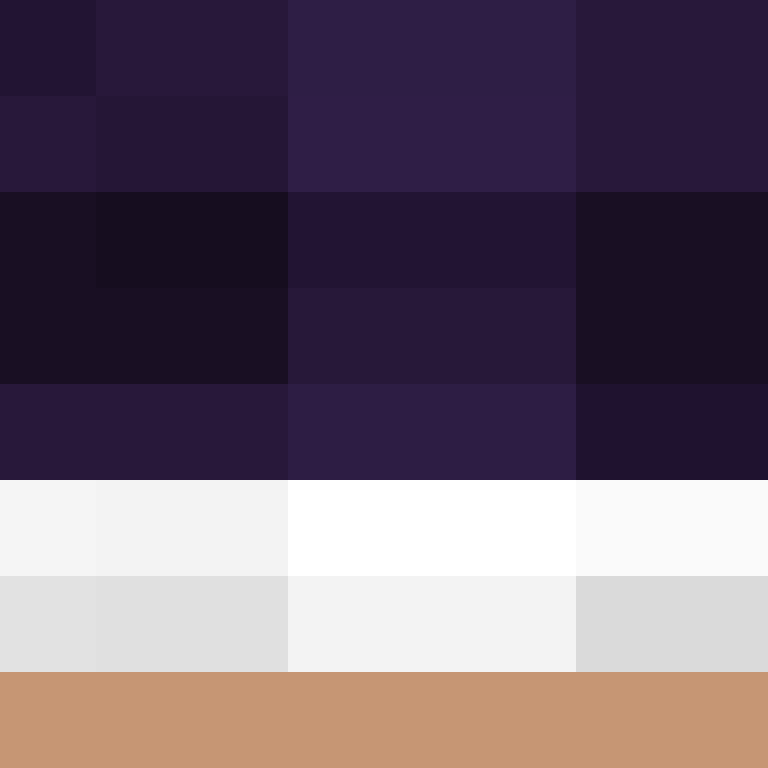 AutoSkin's skin