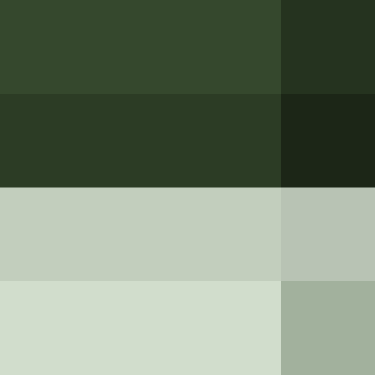 8aca680b22461340's skin