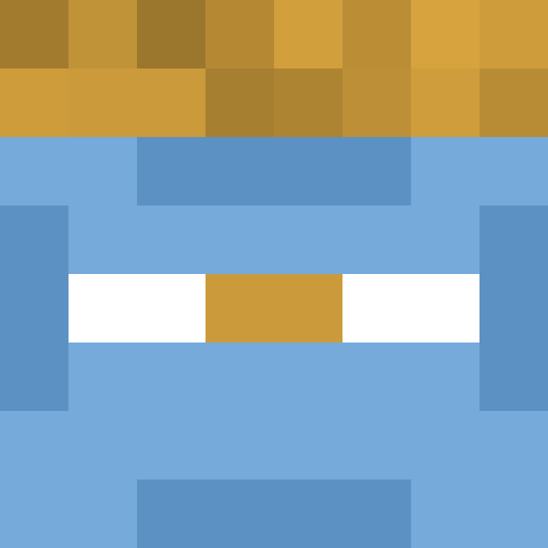 wiredframe's skin