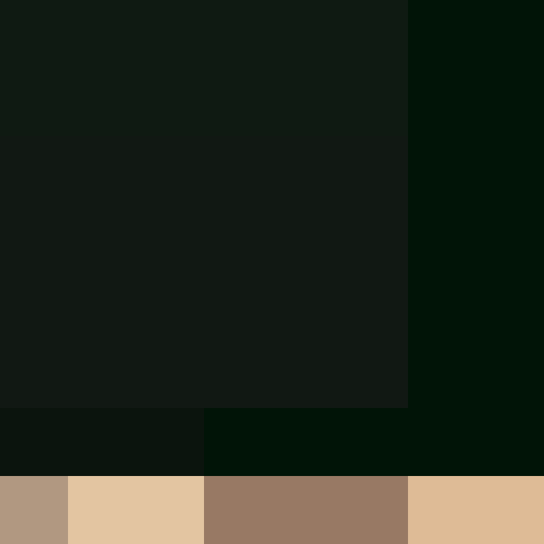 dramagg's skin