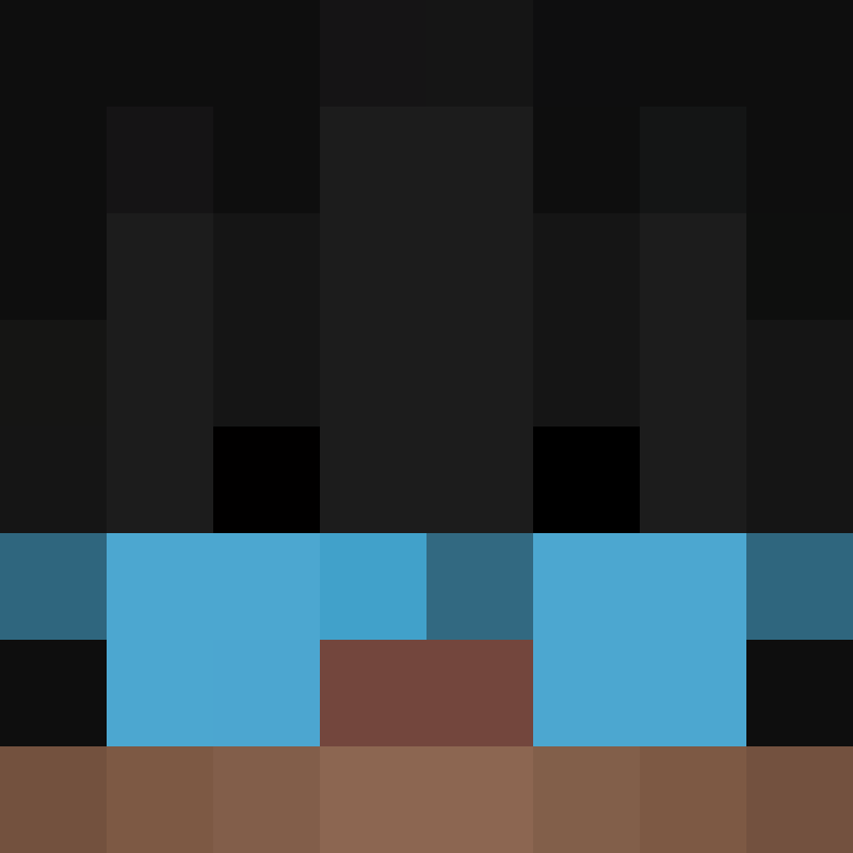 WiPking's skin