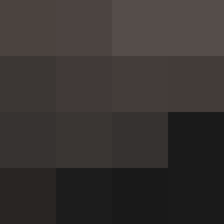 PtakopyskCZ's skin