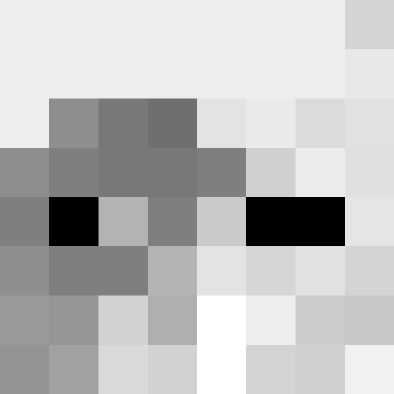 Invixit's skin