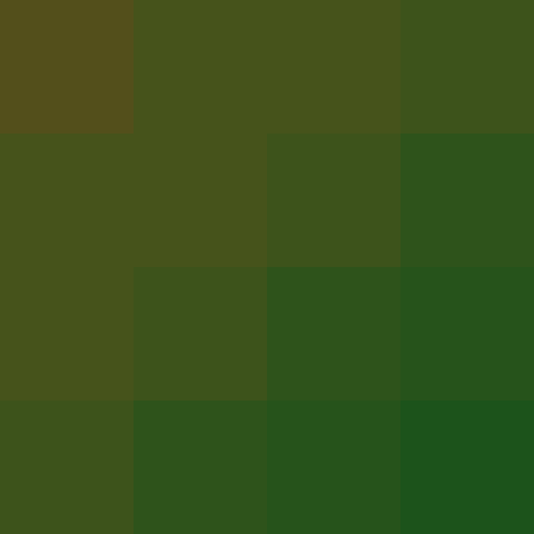AutoSkin's skin