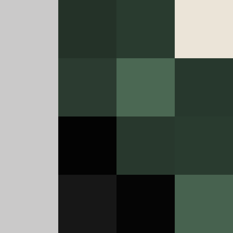 Xenyria's skin