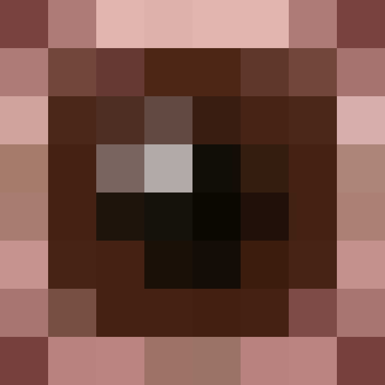 DonaldTrump42's skin
