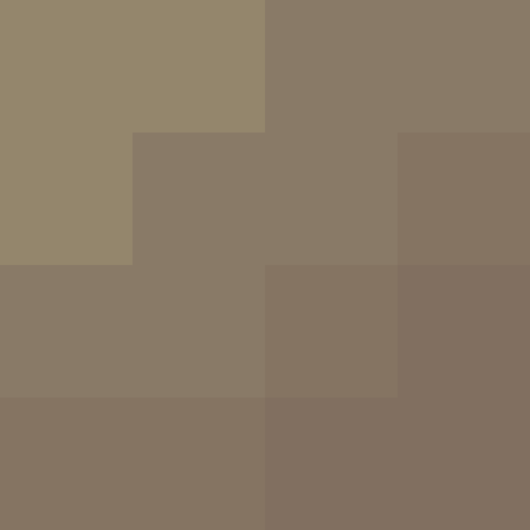 v4r1n's skin