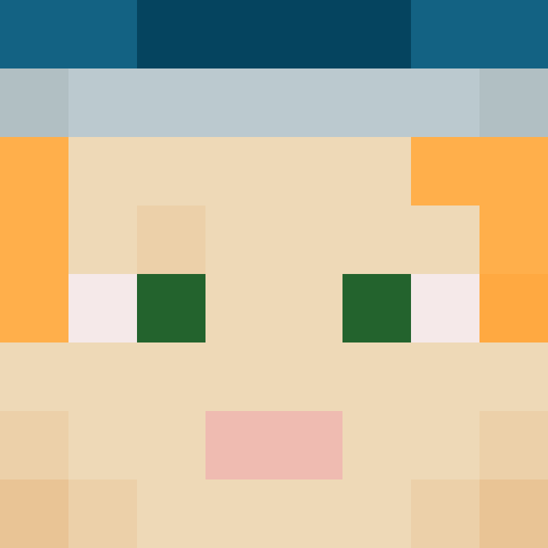 8aca680b22461340's skin