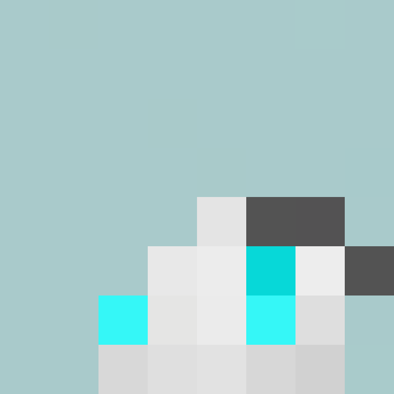 santswz's skin