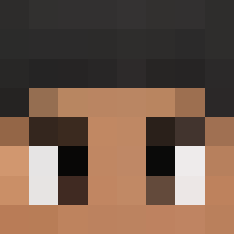 xX_No_Income_Xx's skin