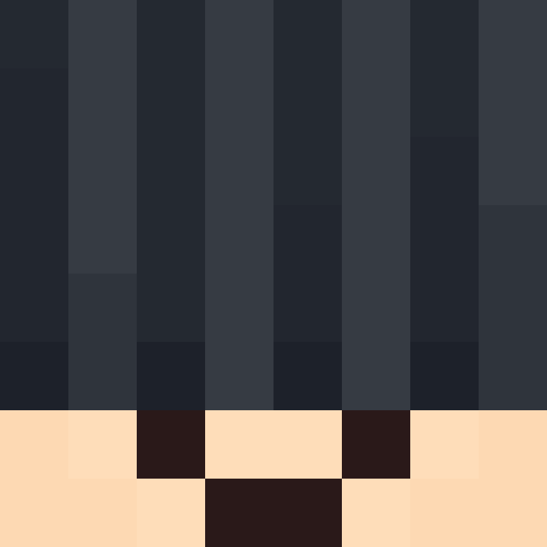 CeilingBird's skin