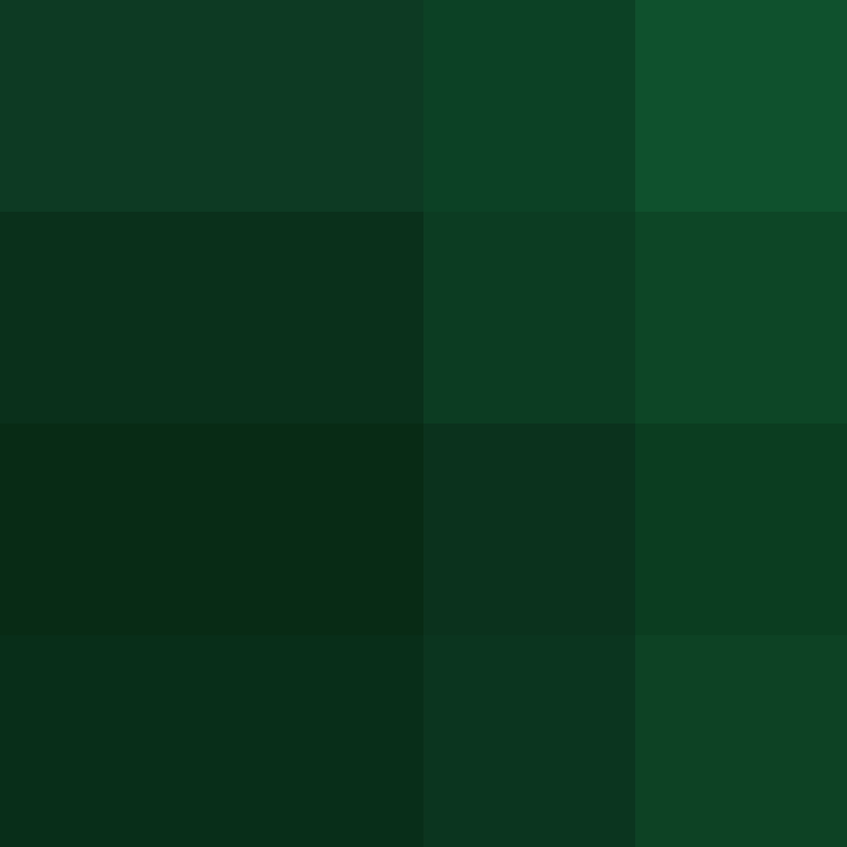 PatatjeMC's skin