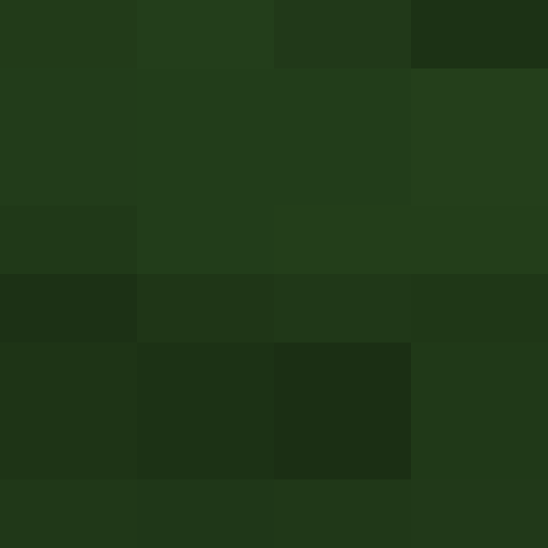 Auntbrix's skin