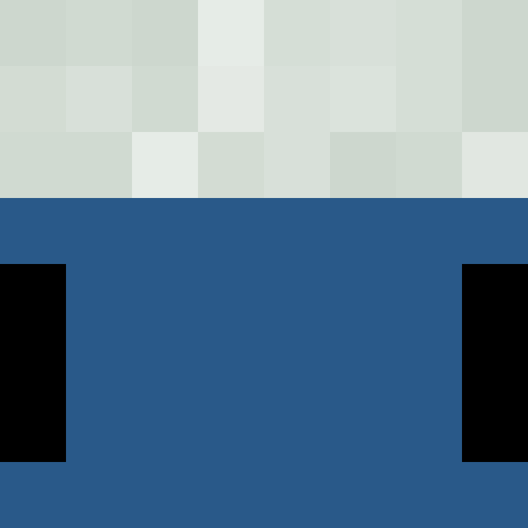 itsnoobking's skin