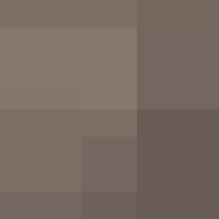 AI_Agent's skin