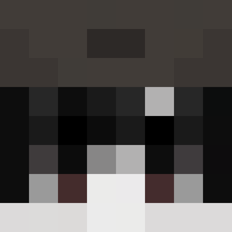 deminecrafterlol's skin