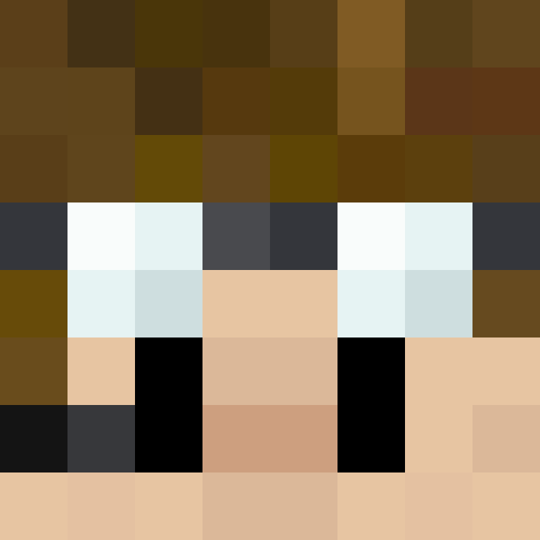 deminecrafterlol's skin