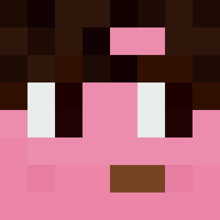 8aca680b22461340's skin