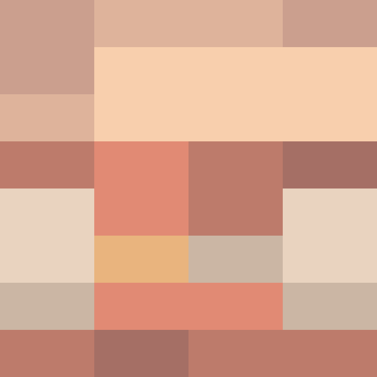 CeilingBird's skin